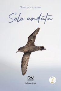 Solo andata